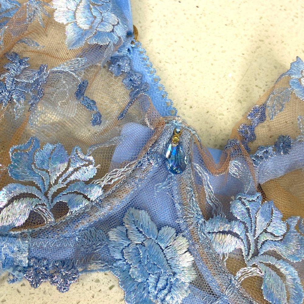 The Baby Blue Honey Birdette Bra - Picture 2 of 4